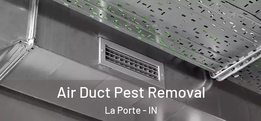 Air Duct Pest Removal La Porte - IN