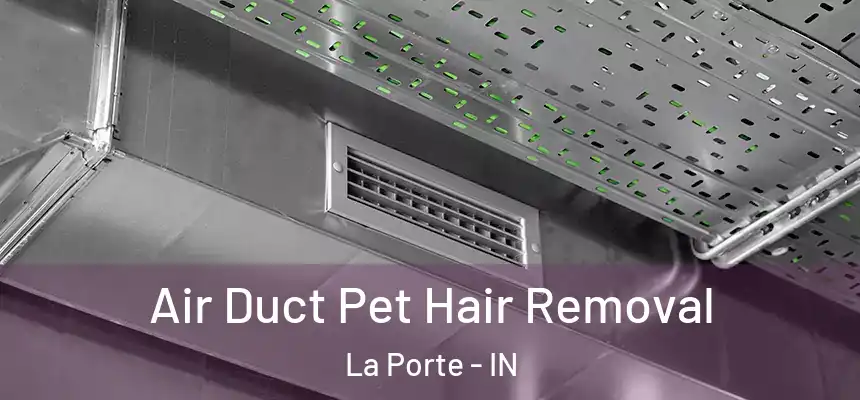  Air Duct Pet Hair Removal La Porte - IN