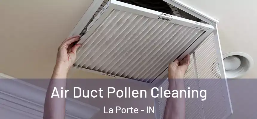 Air Duct Pollen Cleaning La Porte - IN