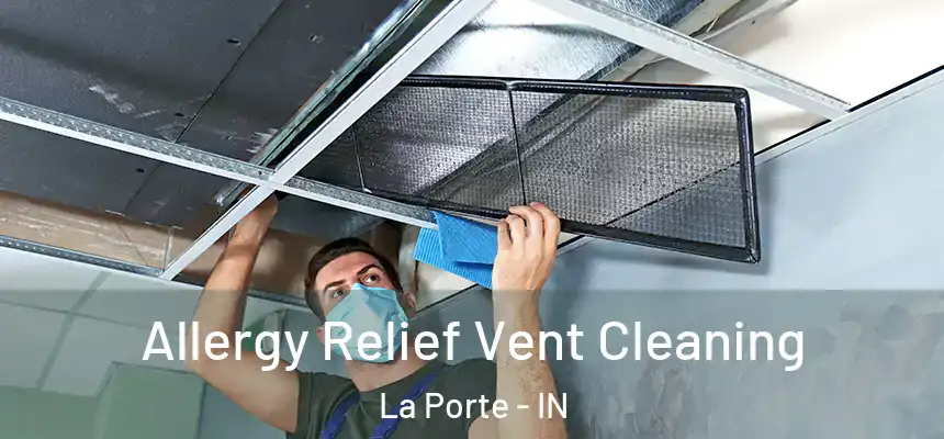Allergy Relief Vent Cleaning La Porte - IN