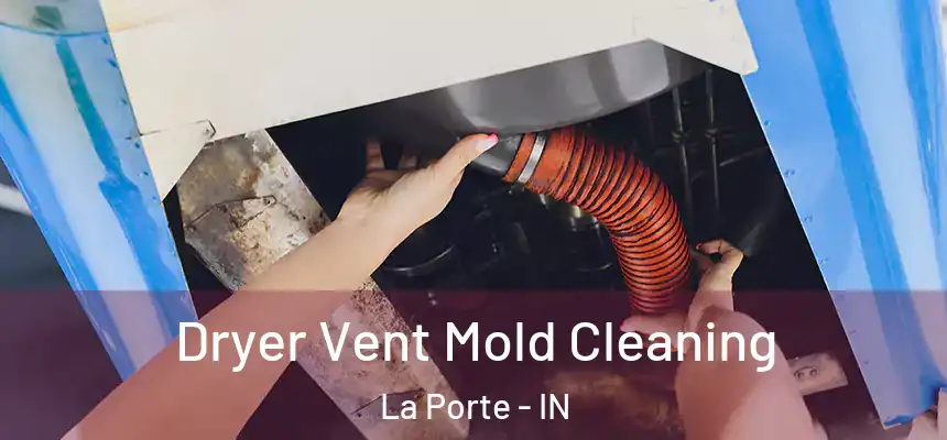 Dryer Vent Mold Cleaning La Porte - IN