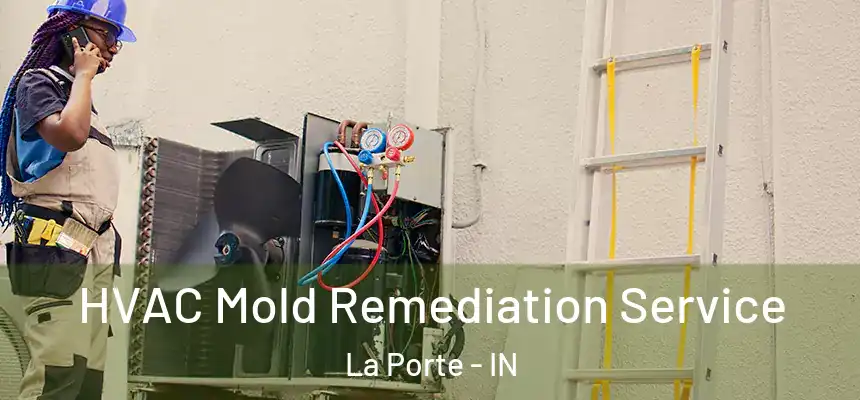  HVAC Mold Remediation Service La Porte - IN