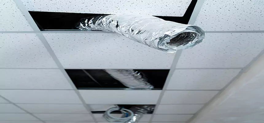 Our Air Duct Pet Hair Removal Services in La Porte, IN