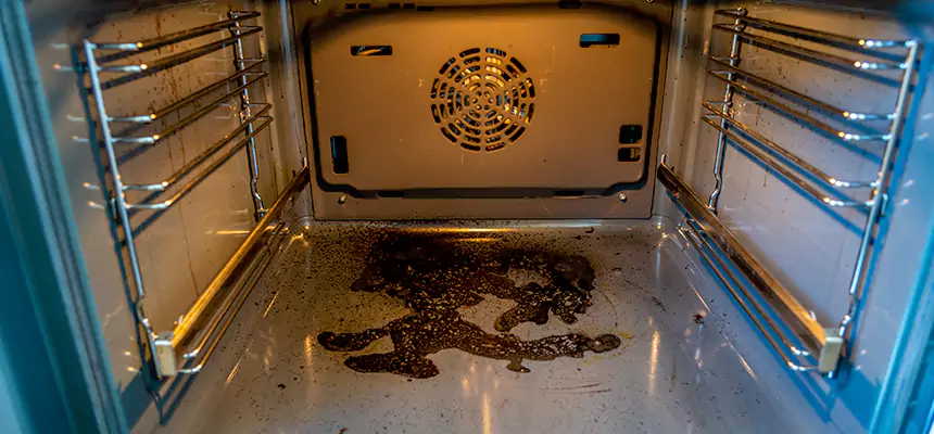 Our Dryer Vent Mold Cleaning Services in La Porte, IN