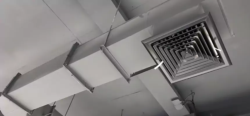 Our Pest Removal From Ducts Services in La Porte, IN