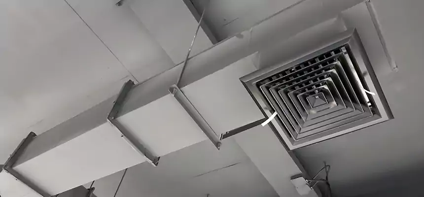 Our Rodent Droppings In Vents Services in La Porte, IN