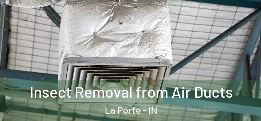 Insect Removal from Air Ducts La Porte - IN