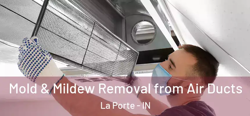Mold & Mildew Removal from Air Ducts La Porte - IN