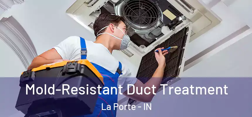 Mold-Resistant Duct Treatment La Porte - IN