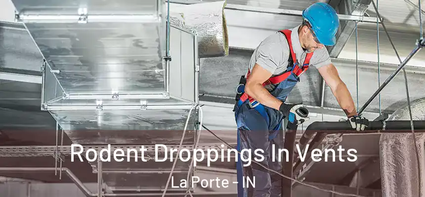  Rodent Droppings In Vents La Porte - IN