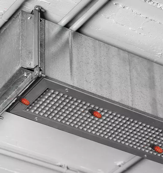 About Air Duct Cockroach Removal in La Porte, IN
