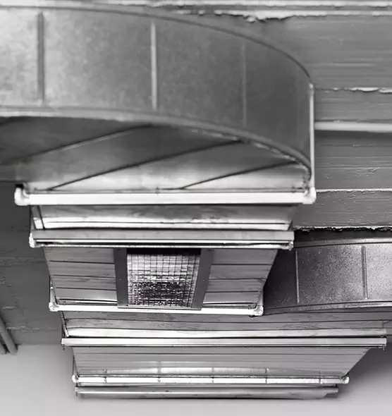 Professional Air Duct Pest Removal in La Porte, IN