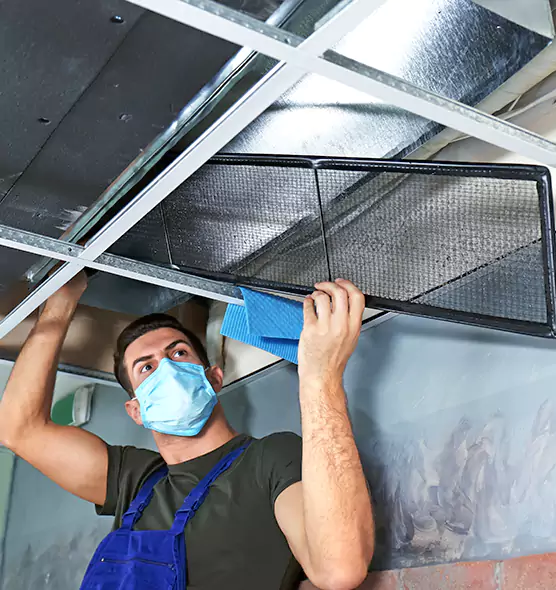 Professional Air Duct Pollen Cleaning in La Porte, IN