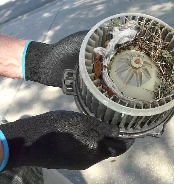 About Air Duct Rat Removal in La Porte, IN