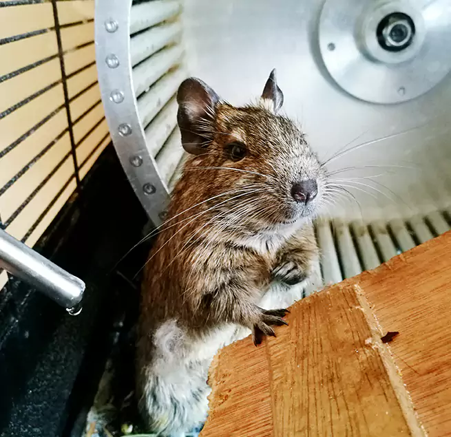 Why Homeowners & Businesses Trust Us La Porte, IN